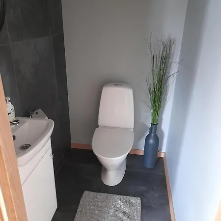 Maja Paernus Privaatse Hoovi, Sauna Ja Tasuta Parkimisega *